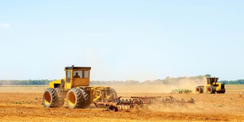 MADAGASCAR : des ONG s’opposent à la cession de 60 000 ha de terres à Elite Agro LLC©Catchlight Lens/Shutterstock
