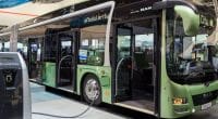 EGYPT: Mwsalat Misr inaugurates second electric bus service in Cairo©VanderWolf Images/Shutterstock