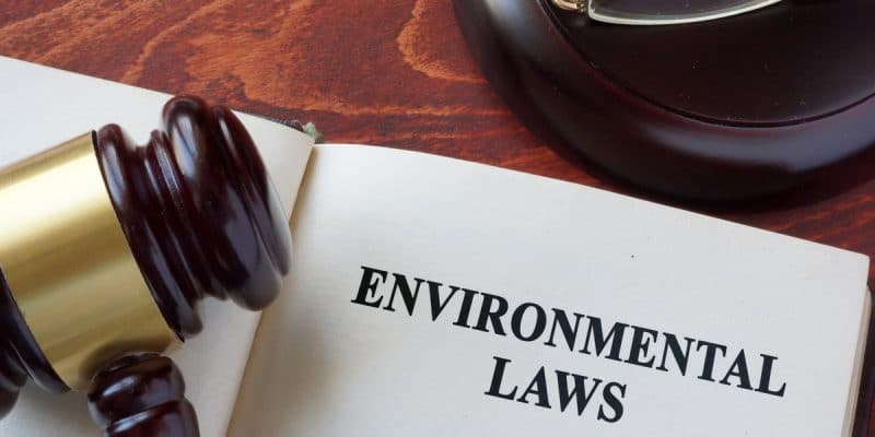 BURKINA FASO: MPs should better scrutinise environmental laws©Vitalii Vodolazskyi/Shutterstock