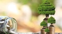 NIGERIA: To launch 3rd Green Bond to fund several eco-friendly projects©Monthira/Shutterstock