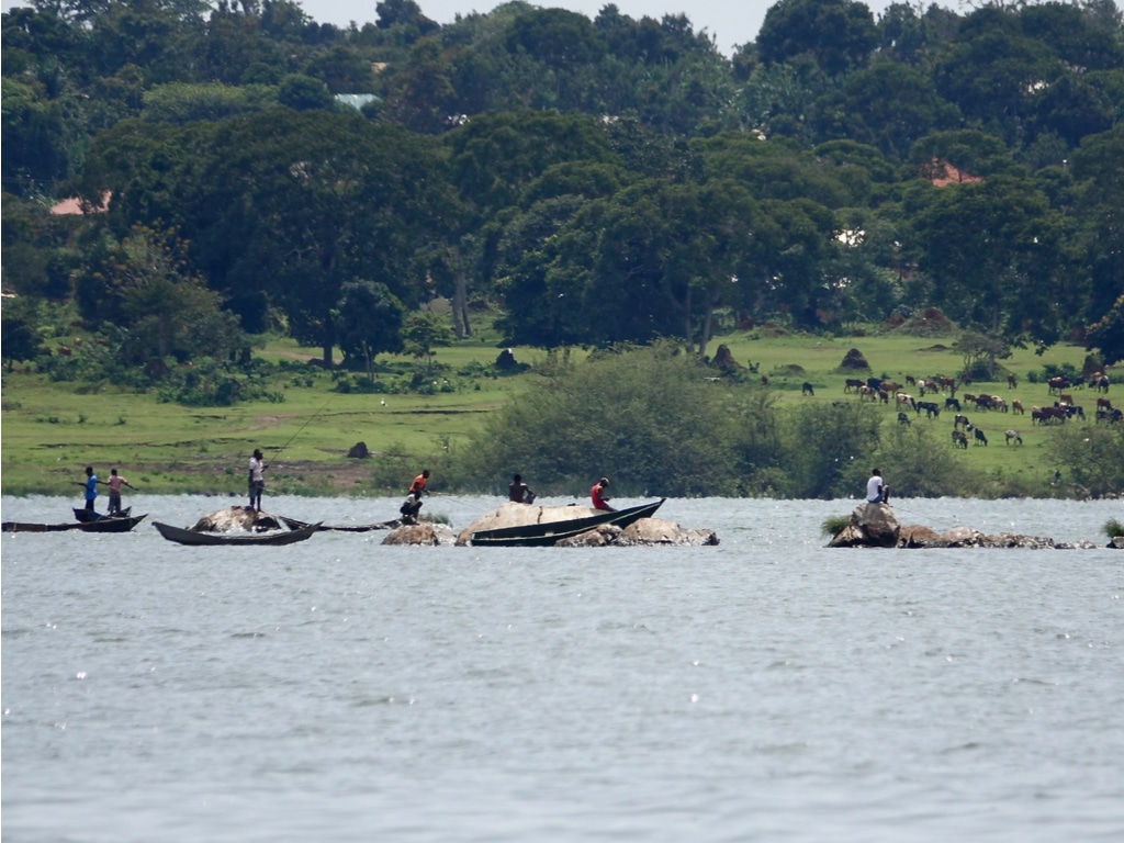 AFRIQUE DE L’EST : lancement d’un programme d’assainissement autour du lac Victoria© Weerayuth Kanchanacharoen/Shutterstock