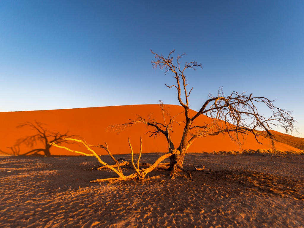 AFRICA: EU strengthens cooperation to combat climate change©Jixin YU/Shutterstock