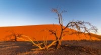 AFRIQUE : l’UE renforce sa coopération pour lutter contre le changement climatique©Jixin YU/Shutterstock