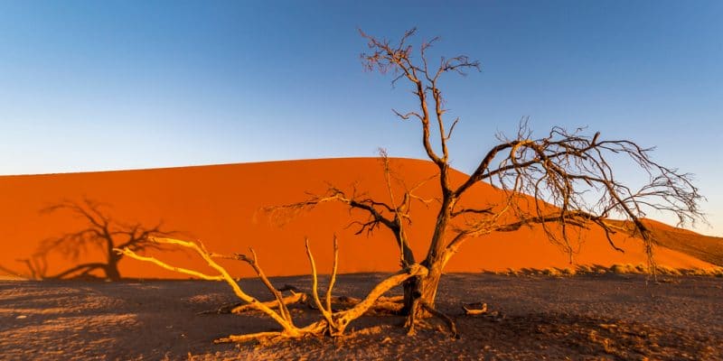 AFRIQUE : l’UE renforce sa coopération pour lutter contre le changement climatique©Jixin YU/Shutterstock