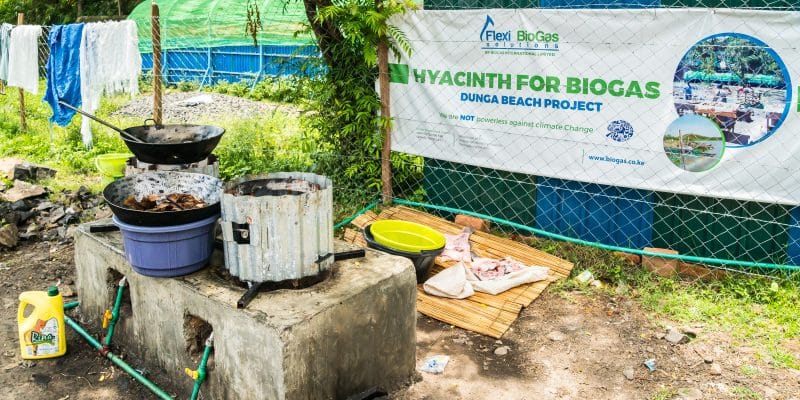 MALAWI: 2 million improved stoves by 2020 for biogas cooking©space_krill/Shutterstock