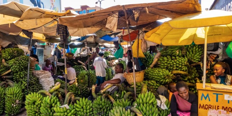 OUGANDA : l’Union européenne subventionne l’économie verte à hauteur de 90,4 M€©DstockIL/Shutterstock