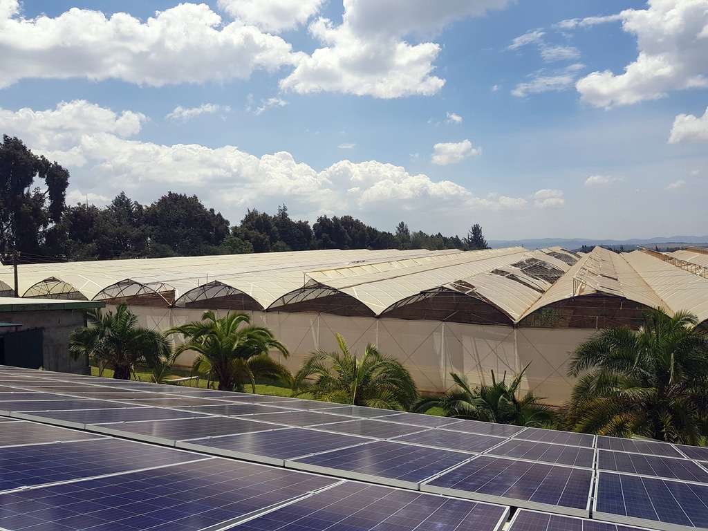 AFRIQUE : Persistent Energy lève 8 M$ pour fournir l’off-grid solaire©Lidia Daskalova/Shutterstock
