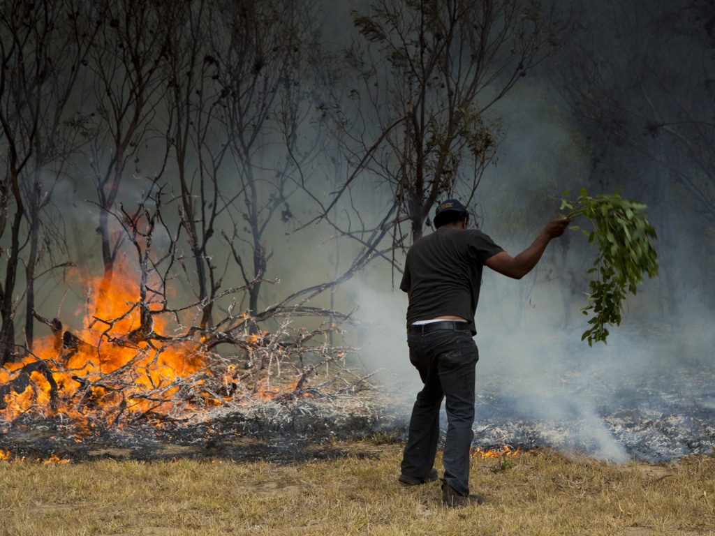 MADAGASCAR: Re-activating 512 to denounce environmental crimes©Lindsay Basson/Shutterstock
