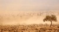 MALI: World Bank grants €29 million for climate resilience project©EcoPrint/Shutterstock