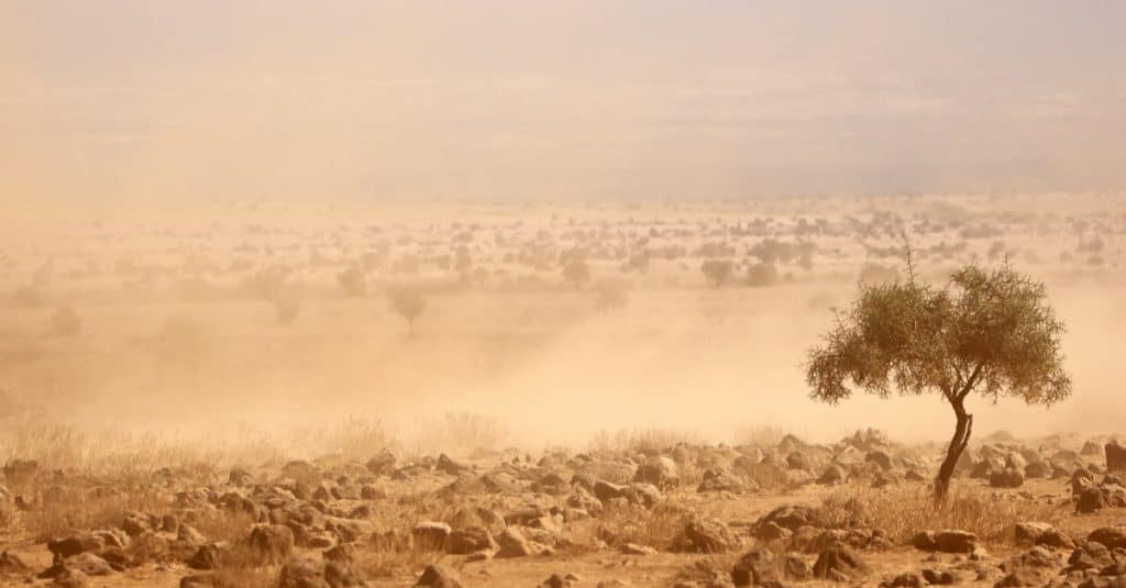 MALI : la Banque mondiale accorde 29 M€ pour un projet de résilience climatique©EcoPrint/Shutterstock