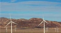 NAMIBIA: Government approves 4 wind power projects in Tsau//Khaeb Park©COULANGES/Shutterstock