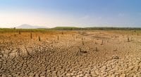 AFRIQUE : Greenpeace réclame une réponse continentale face au changement climatique©24Novembers/Shutterstock