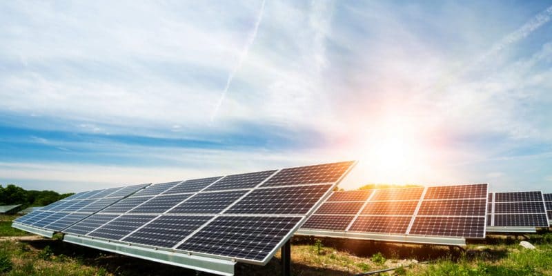 NIGERIA/KENYA : Renewvia Energy et DPI s’allient pour fournir l’off-grid solaire©Diyana Dimitrova/Shutterstock