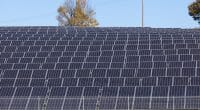 TCHAD : la STE se dote d’une centrale solaire photovoltaïque pour son agence à l’est©moglimoglzahn/Shutterstock