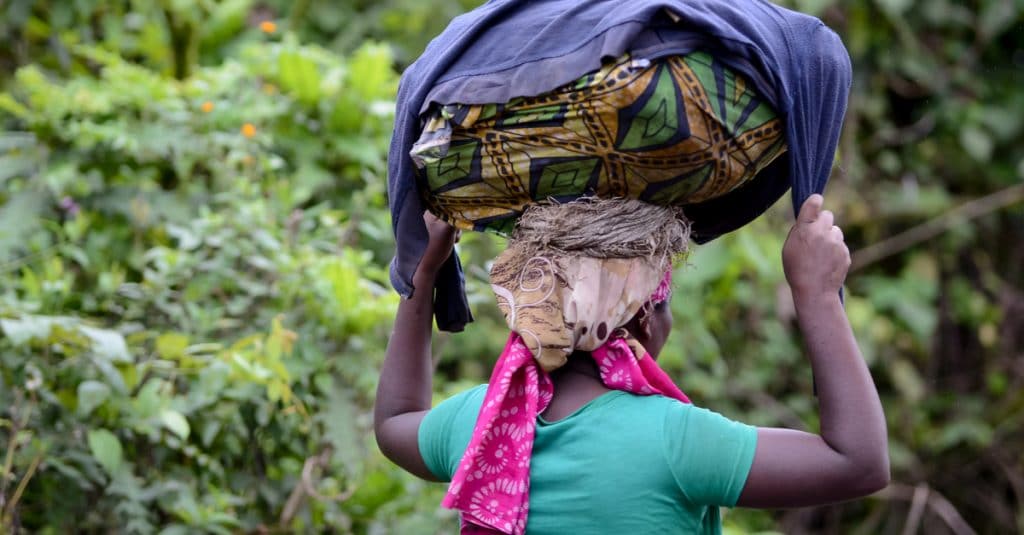 RDC : confinés, les riverains peuvent récolter des vivres dans parc des Virunga ©wayak/Shutterstock