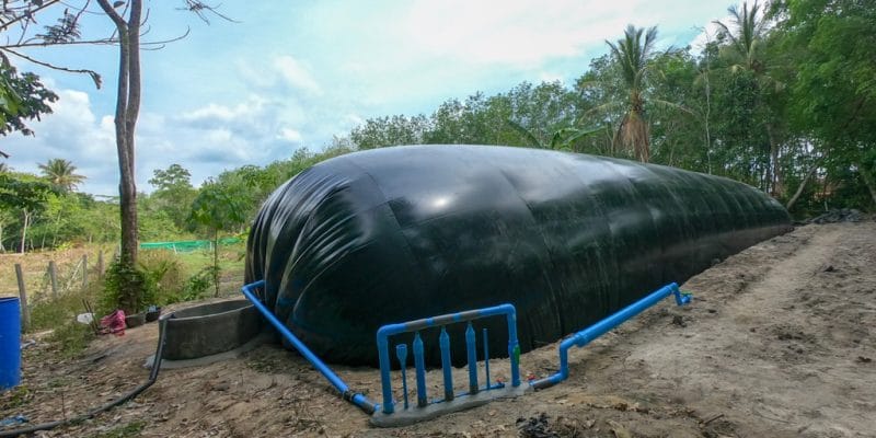 GHANA : lancement d’un projet de renforcement des capacités sur le biogaz ©Thatsanaphong Chanwarin/Shutterstock