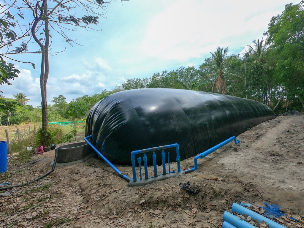 GHANA : lancement d’un projet de renforcement des capacités sur le biogaz ©Thatsanaphong Chanwarin/Shutterstock