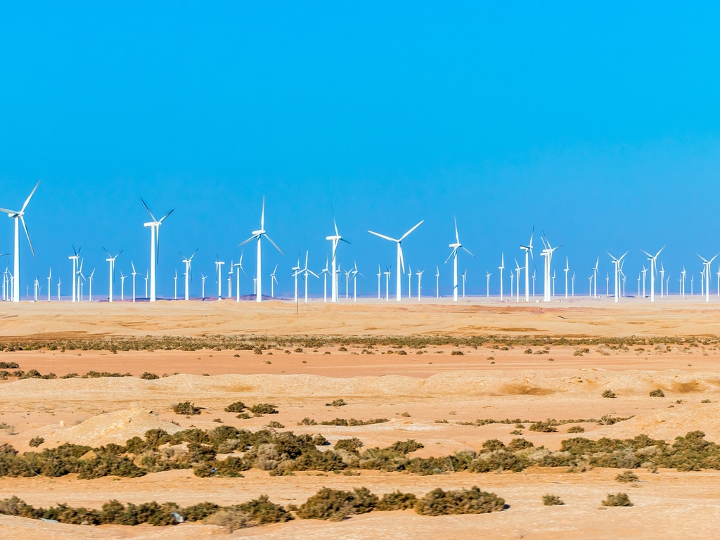 EGYPT: Zafarana 30 MW wind farm to be closed in 2021 after 20 years of op©Andrej Privizer / Shutterstockeration