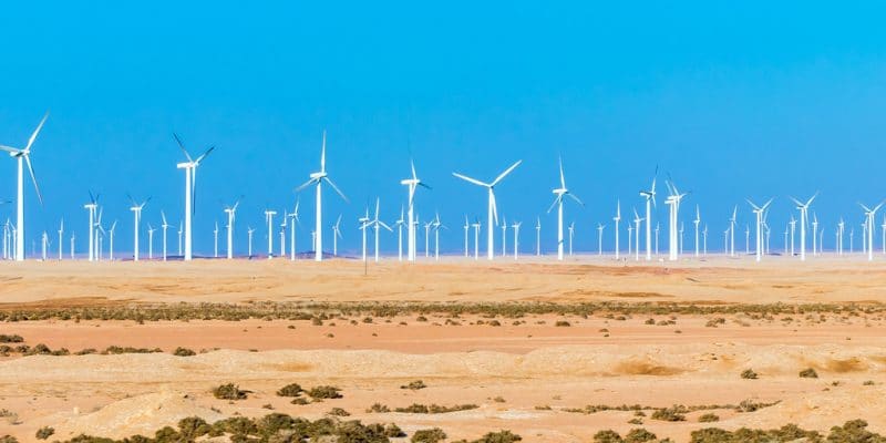 ÉGYPTE : le parc éolien de 30 MW de Zafarana fermera en 2021, après 20 ans de service©Andrej Privizer / Shutterstock