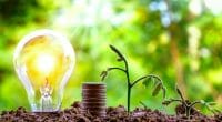 SOUTH AFRICA: GreenCape launches investment fund for green SMEs ©Arthon Meekodong/Shutterstock