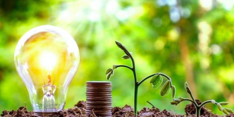 AFRIQUE DU SUD : GreenCape lance un fonds d’investissement pour les PME écologiques ©Arthon Meekodong/Shutterstock