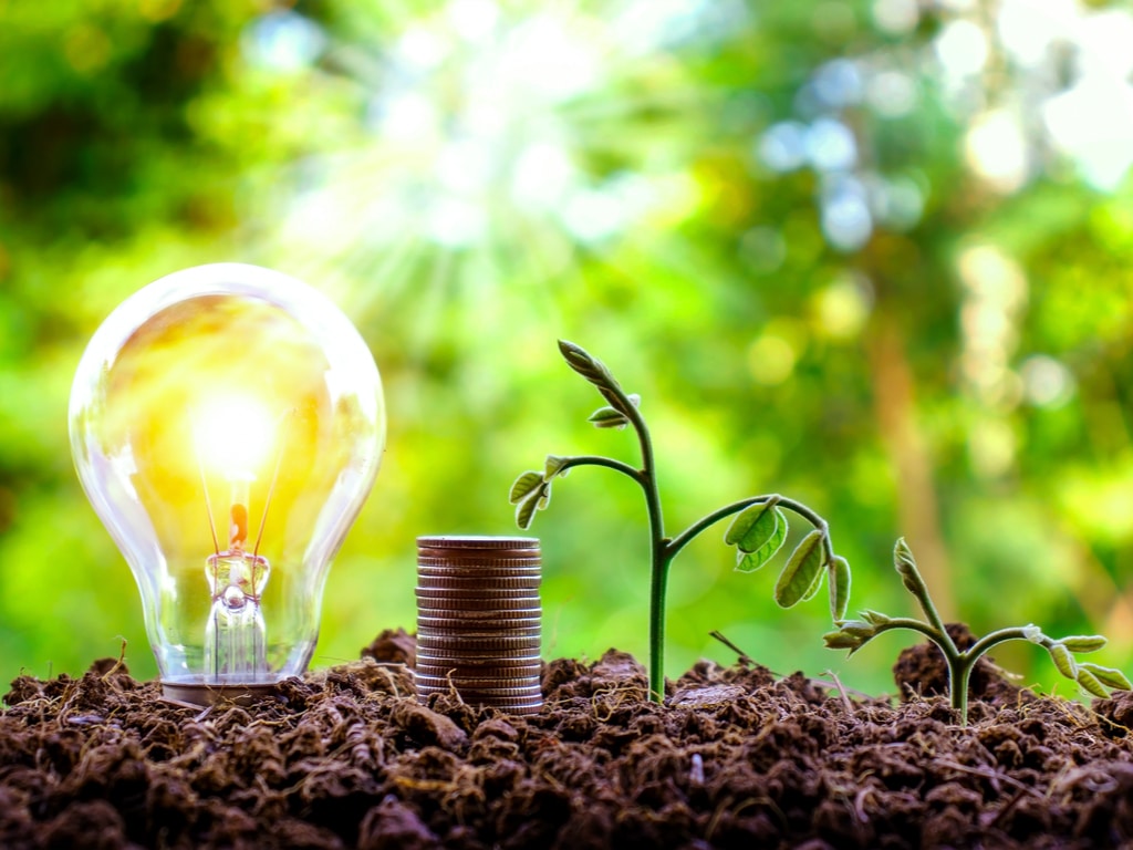 AFRIQUE DU SUD : GreenCape lance un fonds d’investissement pour les PME écologiques ©Arthon Meekodong/Shutterstock