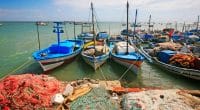 TUNISIA: MedFund releases €900,000 for improved marine protection©Eric Valenne geostory / Shutterstock