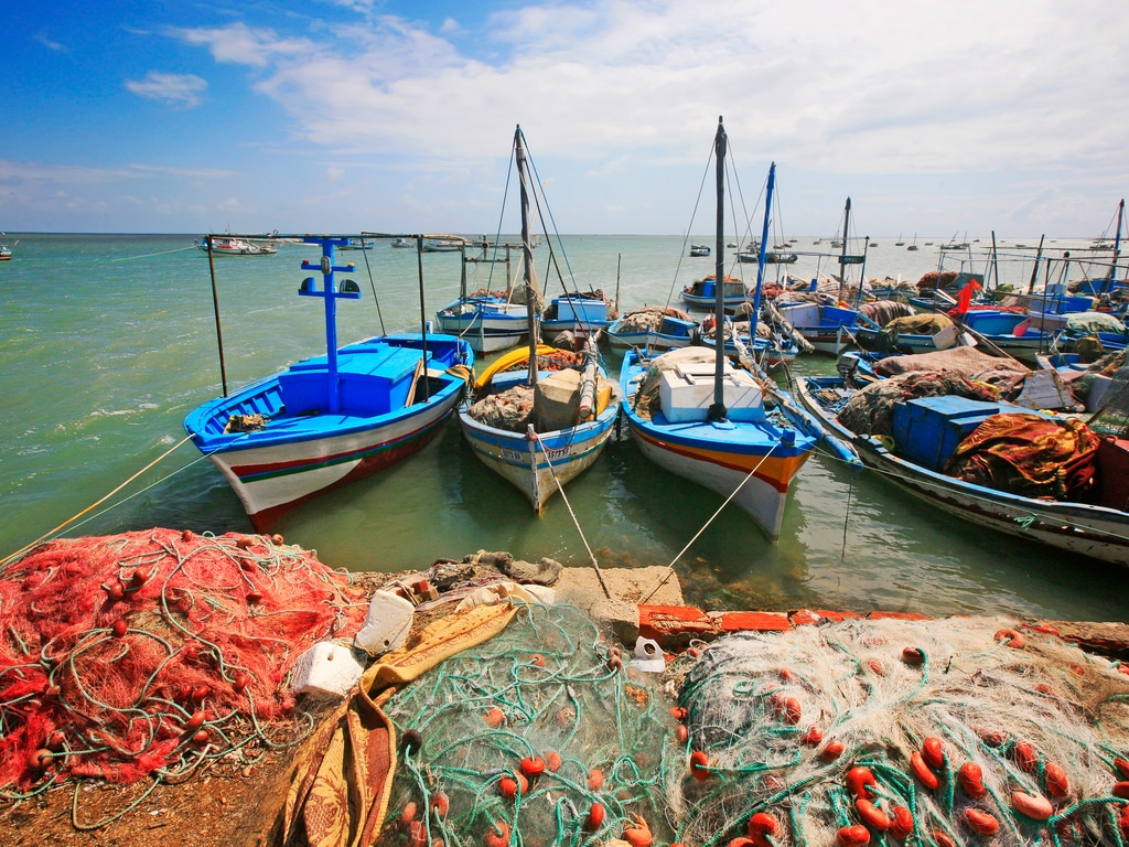 TUNISIA: MedFund releases €900,000 for improved marine protection©Eric Valenne geostory / Shutterstock