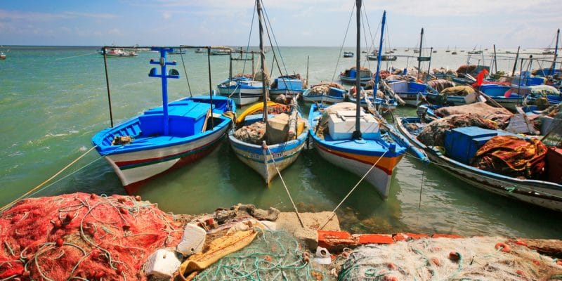 TUNISIE : MedFund débloque 900 000 euros pour mieux gérer les aires marines protégées©Eric Valenne geostory/Shutterstock
