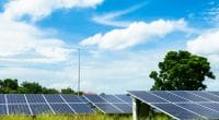 SOUTH AFRICA: Covid-19 jeopardizes national green energy plans©Thinnapob Proongsak / Shutterstock