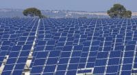 ANGOLA : vers la construction d’une centrale solaire PV de 26 MWc à Saurimo©pedrosala/Shutterstock