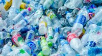 MALI: Invitation for projects on plastic bottle recycling launched©Gigira/Shutterstock