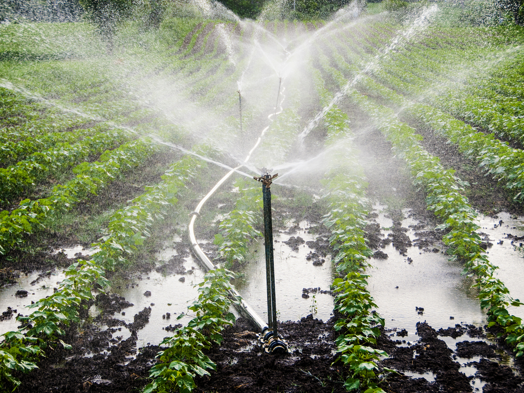 MAROC : le pays renforce sa coopération avec la Hongrie pour mieux gérer l’eau©CRS PHOTO/Shutterstock