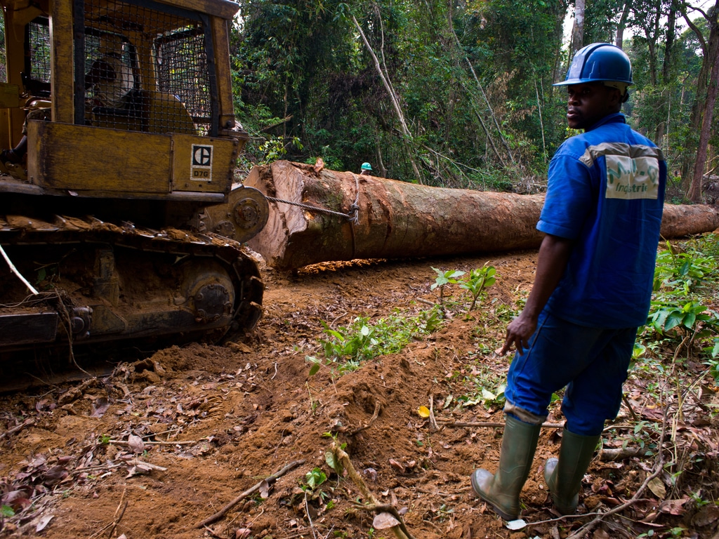 CAMEROON: Populations contest Ebo Forest concession project ©TOWANDA1961 / Shutterstock