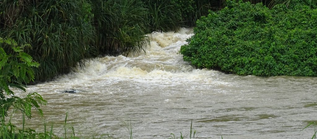 IVORY COAST: Themis gives the green light for the construction of the Singrobo Dam©Ivoire Hydro Energy