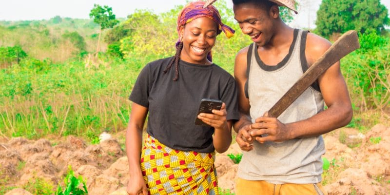 AFRIQUE : GGGI et ses partenaires lancent « Greenpreneurs » pour l’innovation verte ©i_am_zews/Shutterstock