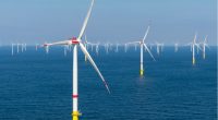 SOUTH AFRICA: Hexicon and Genesis join forces to explore offshore wind energy©Tom Buysse/Shutterstock