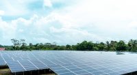 NIGIERIA : NSIA lance un appel d’offres pour une centrale solaire de 10 MW à Kumbotso©cfalvarez/Shutterstock