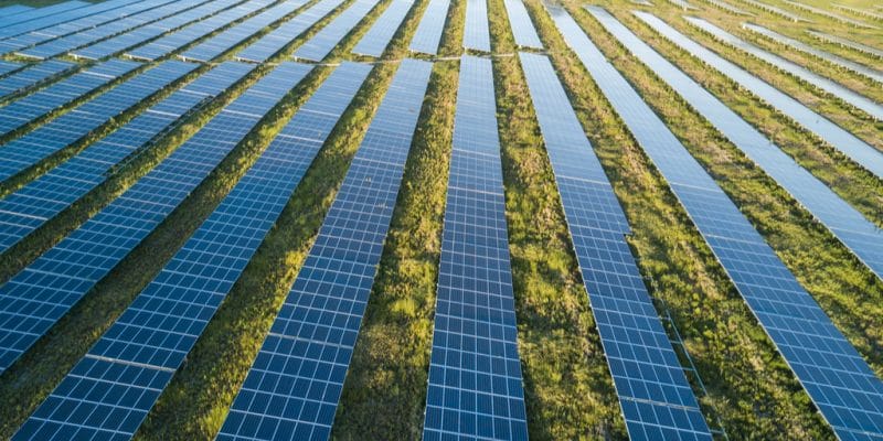 ALGÉRIE : un méga projet solaire de 4000 MW baptisé « Tafouk1 » bientôt sur les rails©city hunter/ Shutterstock