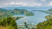 DRC-RWANDA: Both countries join forces to preserve Lake Kivu's biodiversity©Tetyana Dotsenko / Shutterstock