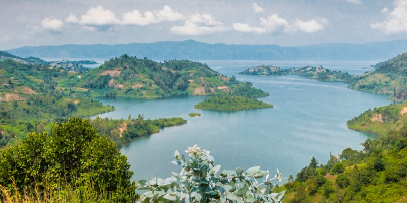 RDC-RWANDA : les deux pays s’allient pour préserver la biodiversité du lac Kivu©Tetyana Dotsenko / Shutterstock