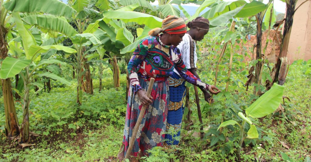 TCHAD : l’Unesco lance le projet Biopalt (Biosphère et patrimoine du Lac Tchad)©Sarine Arslanian/Shutterstock