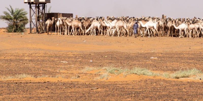ALGERIA: The wilaya of M'Sila benefits from a new borehole©geogif / Shutterstock