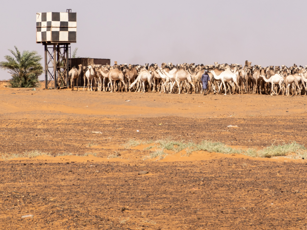 ALGÉRIE : la wilaya de M’Sila s’enrichit d’un nouveau forage©geogif / Shutterstock