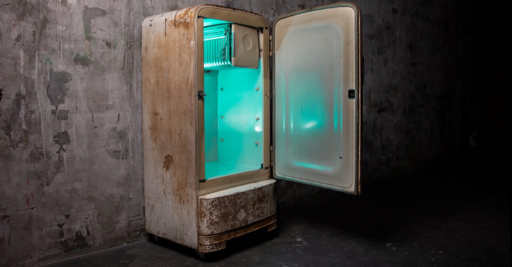 GHANA: Discarded refrigerators recycled into egg incubators ©danjaivanov/Shutterstock