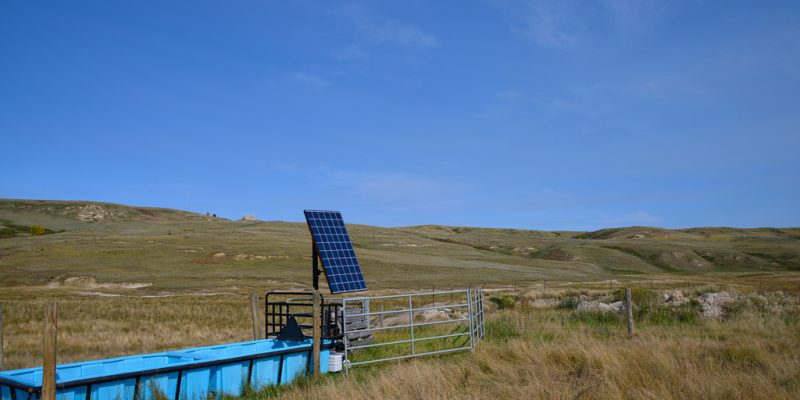 BÉNIN : des abreuvoirs automatiques alimentés au solaire seront construits à Savalou©Michael O'Reilly/ Shutterstock