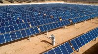 ALGERIA: Government to establish National Energy Council ©Jenson / Shutterstock