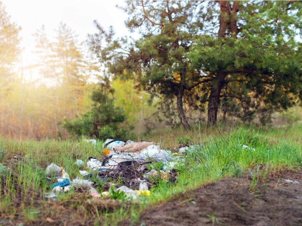KENYA : le gouvernement interdit le plastique dans ses réserves forestières©Oksana Klymenko/Shutterstock