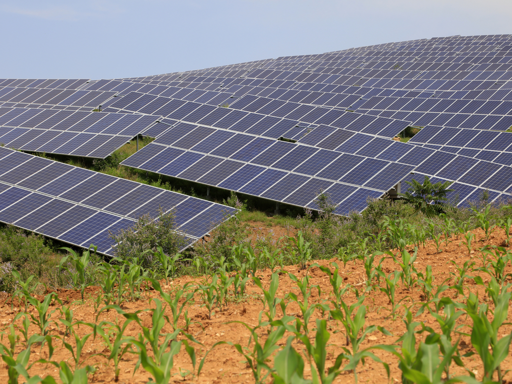 ZIMBABWE: TSS to install 90 MW solar power plant in Chiredzi©chinahbzyg / Shutterstock