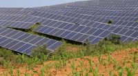 ZIMBABWE : TSS va installer une centrale solaire de 90 MW à Chiredzi©chinahbzyg/ Shutterstock